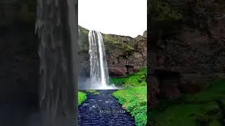 🛑Beautiful || Nature || Cute || Best video || Lovely || Relax Studio || Waterfall || Relaxing || 🛑