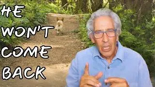 Discover Why Your Dog Won't Come Back!