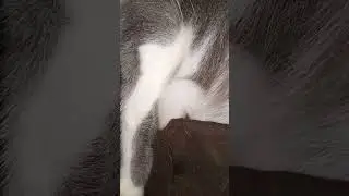 🥰