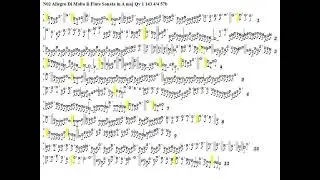 J.J.Quantz : Flute And Bass, Part 1