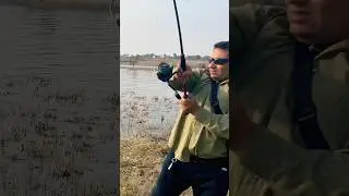 shandar Fishing 🎣 #zakkfishing #fishing #shorts