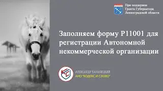 Выпуск 3. Как заполнить форму Р11001 для гос. регистрации АНО