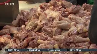 Namibia bans poultry from Germany, Netherlands after bird flu outbreak