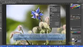 Adobe Photoshop - Tutorial 19 - Advanced Selections