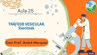 AULA 25: TRÁFEGO VESICULAR. Exocitose.