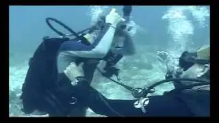 Matt Lewin Dive