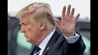 Trump: 