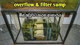 ෆිල්ටර් සම්ප් එකක් හදන හැටි | How to: Sump & Overflow