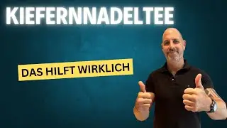 Kiefernnadeltee