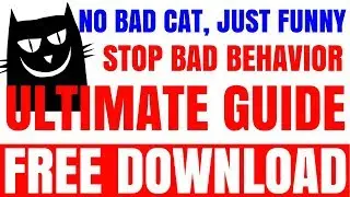 Super Funny Cats Videos Compilation 614 | Funny Cats Scared of Random Things and Cucumbers