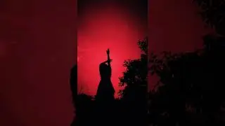 shadow  dance performance #viral #sunset#shadow