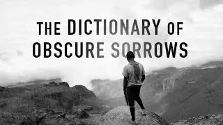 The Dictionary of Obscure Sorrows: For Lack Of A Better World