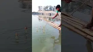Unbelievable Fishing Skills Part 194 #Fishing #Shorts #FishingLife
