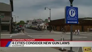 Four cities consider new gun laws