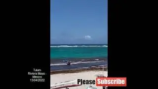 2022 Sargasses - Tulum - Mexique