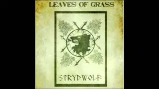 STRYDWOLF - TOD IN &Auml;HREN - REMAKE