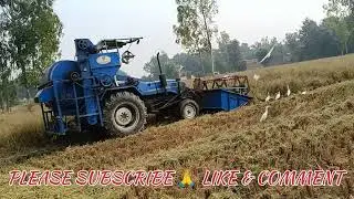 Sonalika Combine #farming #comedy #agriculture #travel #youtube #vlog #funny #trending #live #