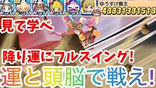 【ぷにぷに】降り運が全てのチーム！暫定488億のスコアを出したチームでスコアタやった