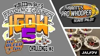IGOW5 - Week 2 - weBLEED