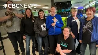 Pet industry workers ask Regina to delay any animal bylaw changes