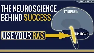 The Neuroscience of success - Use your Reticular Activating System (RAS)