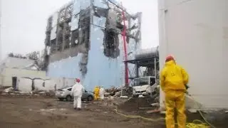 4 Years of Fukushima Fallout