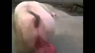 Andar con chuler&iacute;a