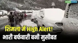 Shimla Snowfall Today : शिमला में High Alert! भारी बर्फबारी बनी मुसीबत | Shimla Weather Update