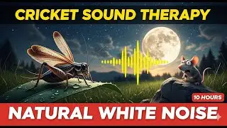 🔴 Pure Cricket Sounds at Night 🌌 | Relaxing Nature Sound Therapy for Sleep, Focus & Calm