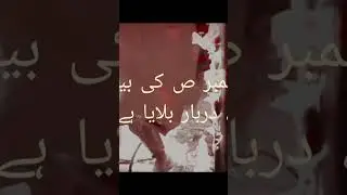 Noha Bibi SYEDA s.a #noha #noha2021 #nohastatus #nohay