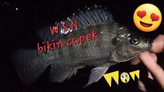WSN spot spillway bikin capek #hobimancing #mancingngantang #wadukselorejo #wsn #mancingnila