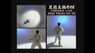 KATA SHINKYOKUSHIN