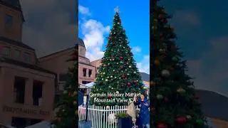 German Holiday Market in Mountain View #germanholidaymarket #mountainview #california #shorts