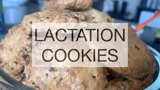 Increase Your Milk Supply | Lactation Cookies Recipe