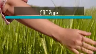 CBD Pure Oil Review (CBDPure) Best CBD Oil Review