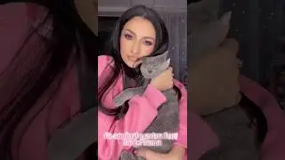 Produse pentru pisici de pe Temu 🎀Cod: kcg2248 ( cupoane de reducere pentru comenzile eligibile)