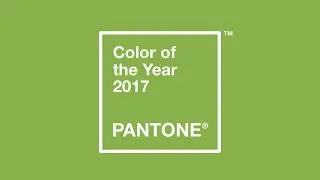 10 hours of Color of The Year 2017 PANTONE® GREENERY  screen 4K UHD