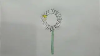 Easy way to draw a realistic sunflower 🌻