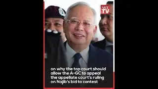 Najib fails to block govt's appeal over alleged royal order