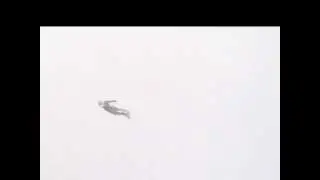 flying people over bussumer heide