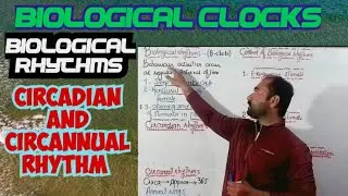 Biological Rhythms || Biological clocks || Circadian rhythms || Circannual rhythms class 12