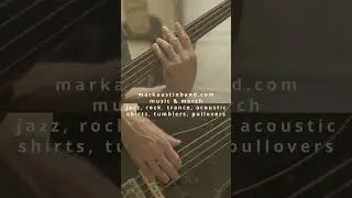 Fender Fretless PJ belltones and chords  #bass #bassist #bassguitar #music #livemusic #musician