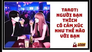 Tarot: Người bạn thích có cảm xúc như thế nào với bạn?