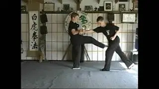 White Tiger Kenpo Green Belt Crossing the Mountain