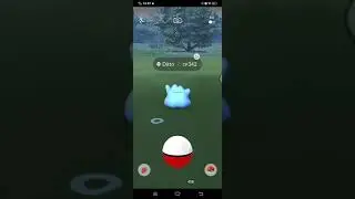 Shiny Ditto in Field Research Completed 7 Days Big Account Pokemon Go 意唔意外 開唔開心