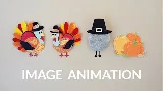 Adding Animations to Image | HTML & CSS