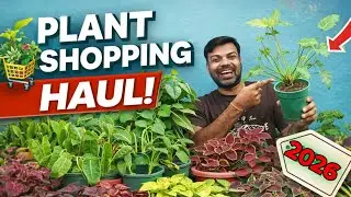 Plant Shopping Haul 2026/Plant Shopping 2026/1st Plant Shopping 2026