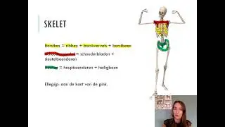Samenvatting Stevigheid & Beweging 3 VMBO Biologie Voor Jou MAX