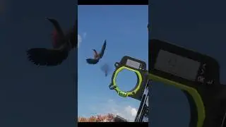 unforgettable bow shot by far #thehunter_call_of_the_wild #cotw #cotwcontent #goosehunting #bowhunt