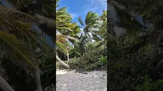 Wild Beach Punta Cana